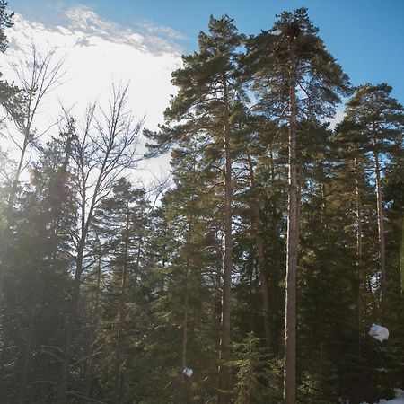 Hotel Borovets Edelweiss Exterior photo